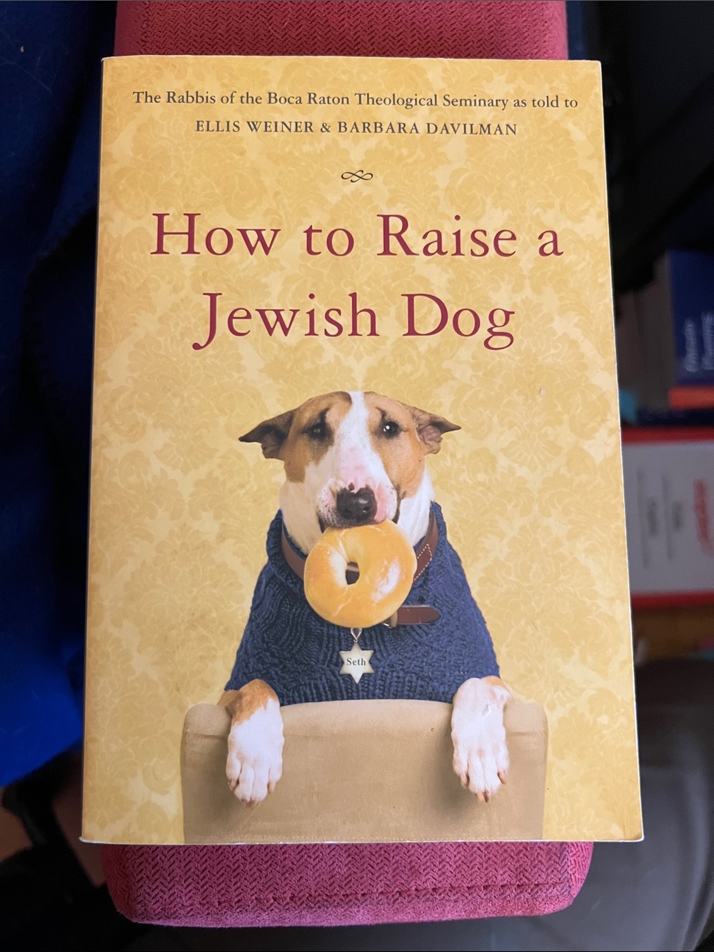 How to Raise a Jewish Dog - Yellow Cover